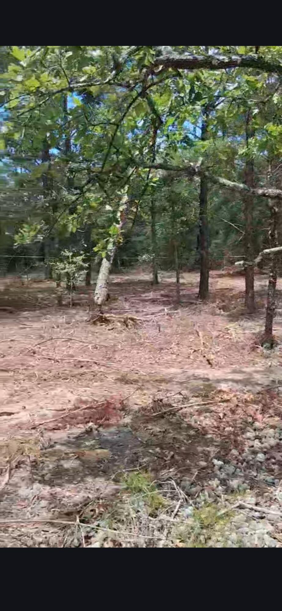 HOLLEY GROVE SOUTH - Land