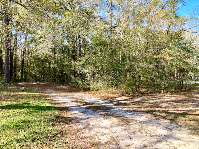 TOWN OF DEFUNIAK SPRINGS - Land