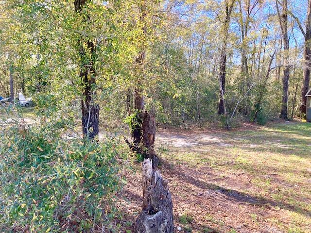 TOWN OF DEFUNIAK SPRINGS - Land