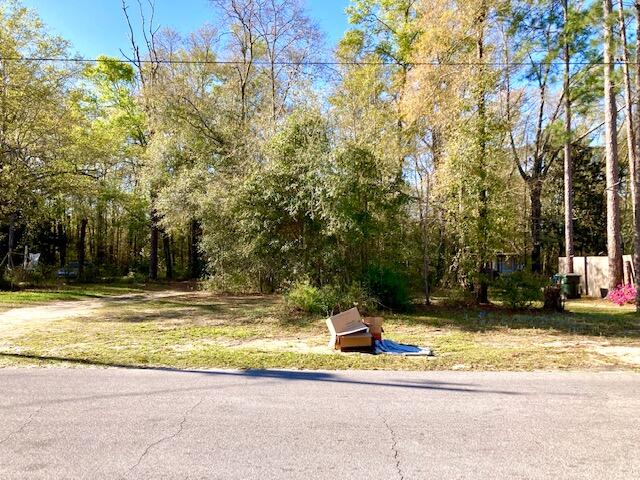 TOWN OF DEFUNIAK SPRINGS - Land