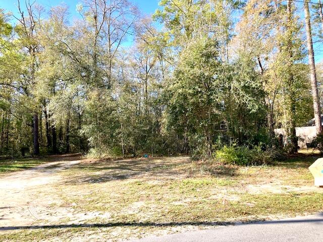 TOWN OF DEFUNIAK SPRINGS - Land