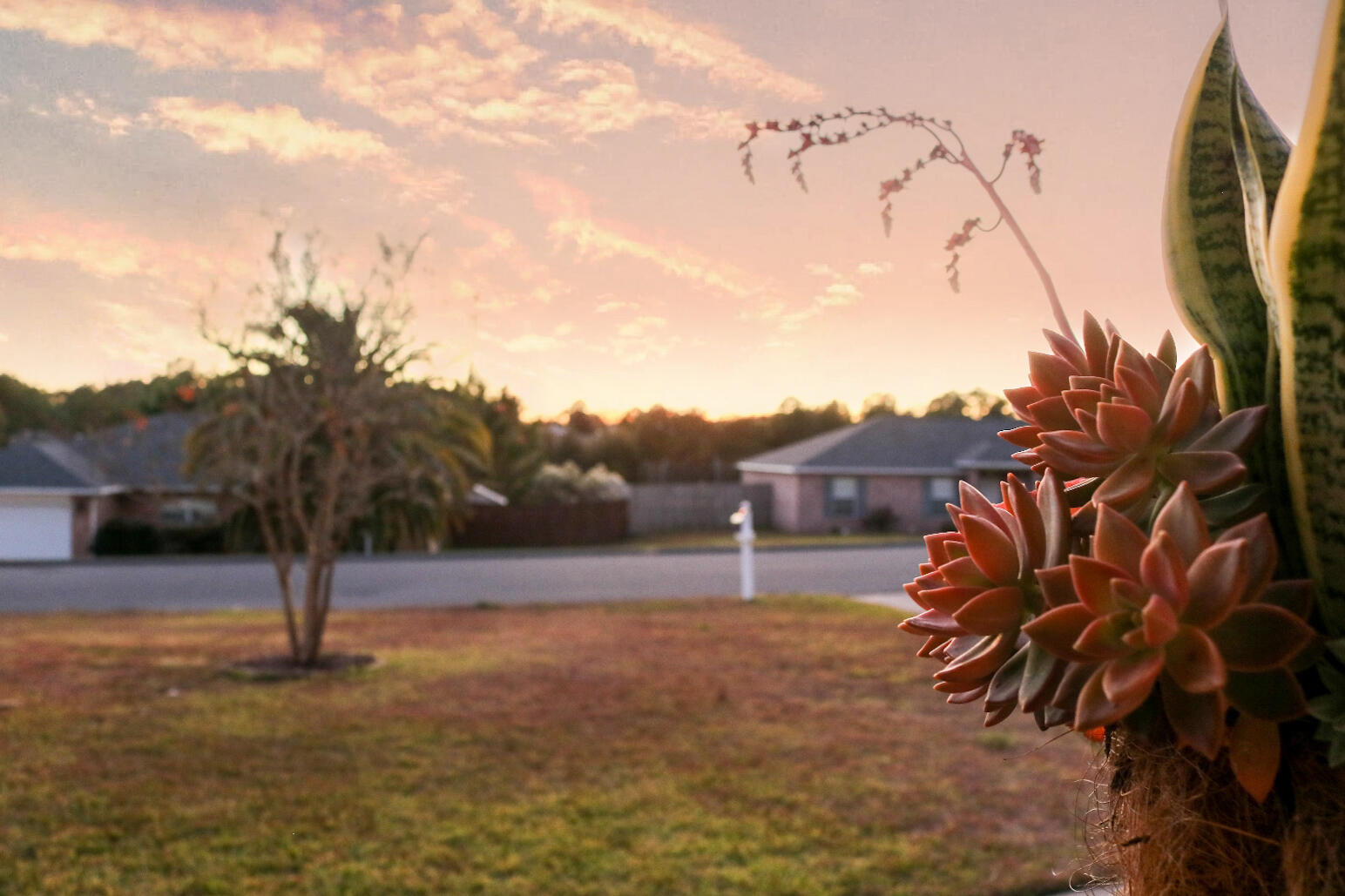 NORTHVIEW ESTATES 7TH ADDN - Residential