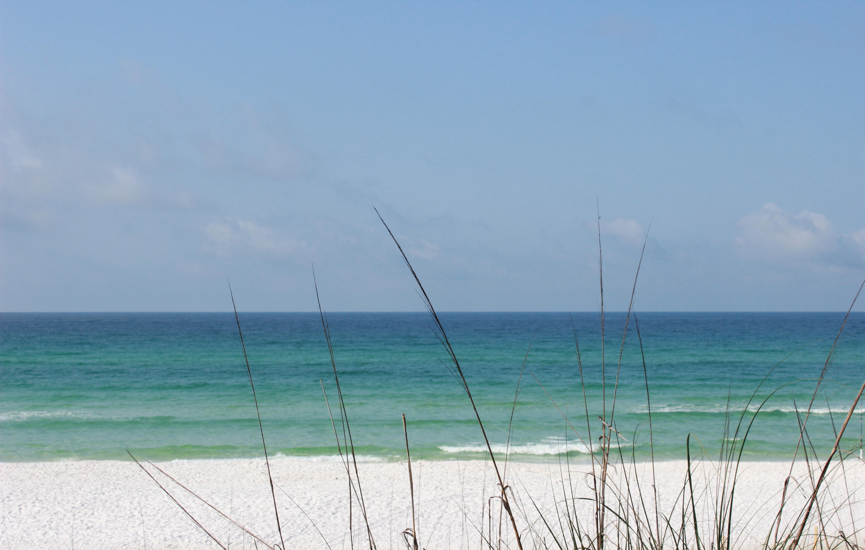 Sea Dunes - Land