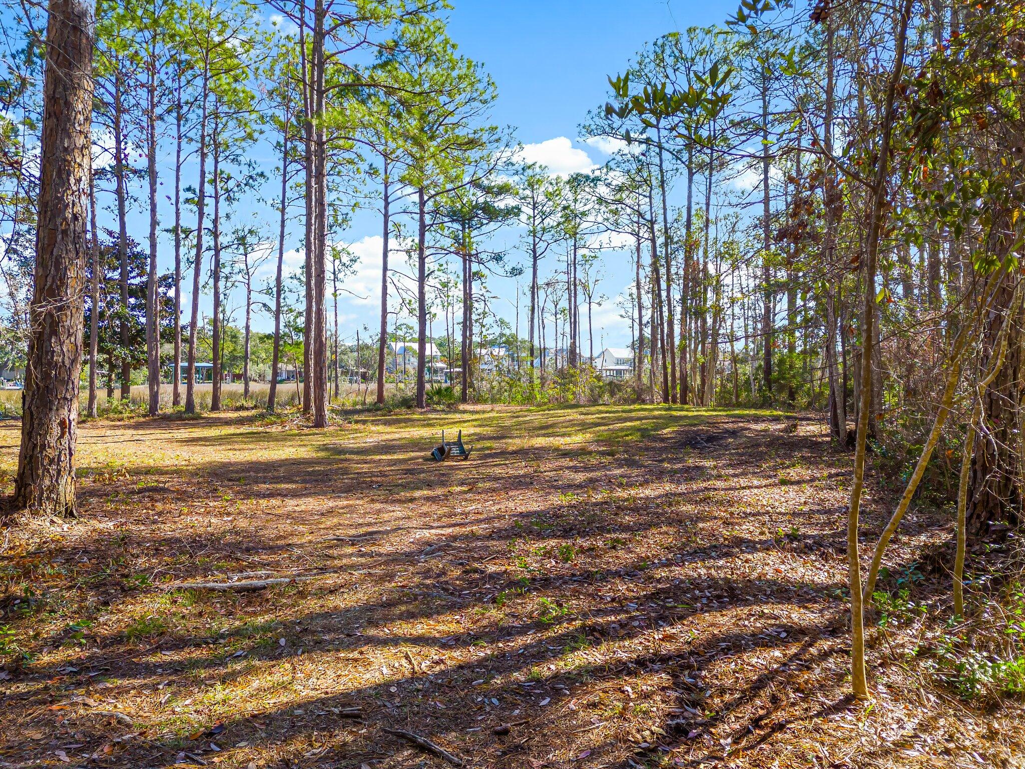 WOODLAND BAYOU ESTATES - Land