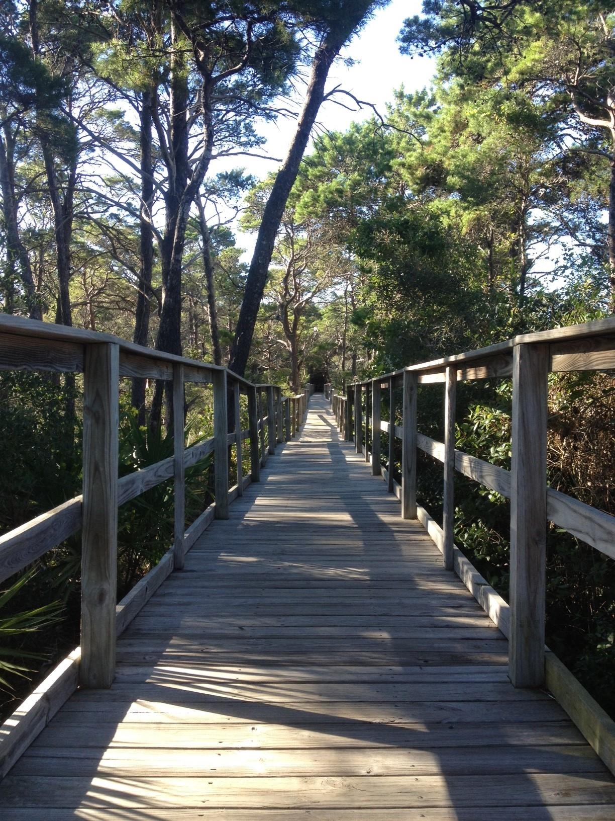 PRESERVE AT GRAYTON BEACH THE - Land