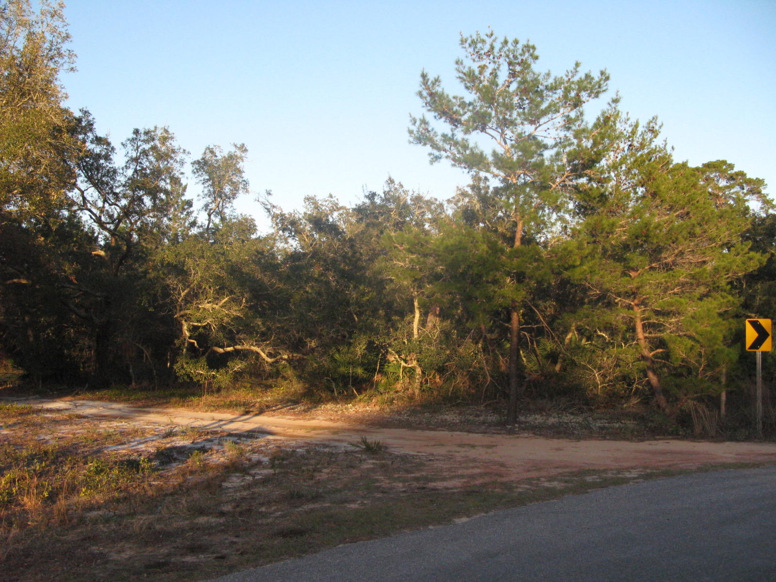 1 acre lot, mobile homes allowed. Wooded parcel. Zoning is R1M. Owner is licensed Florida Real Estate Broker.