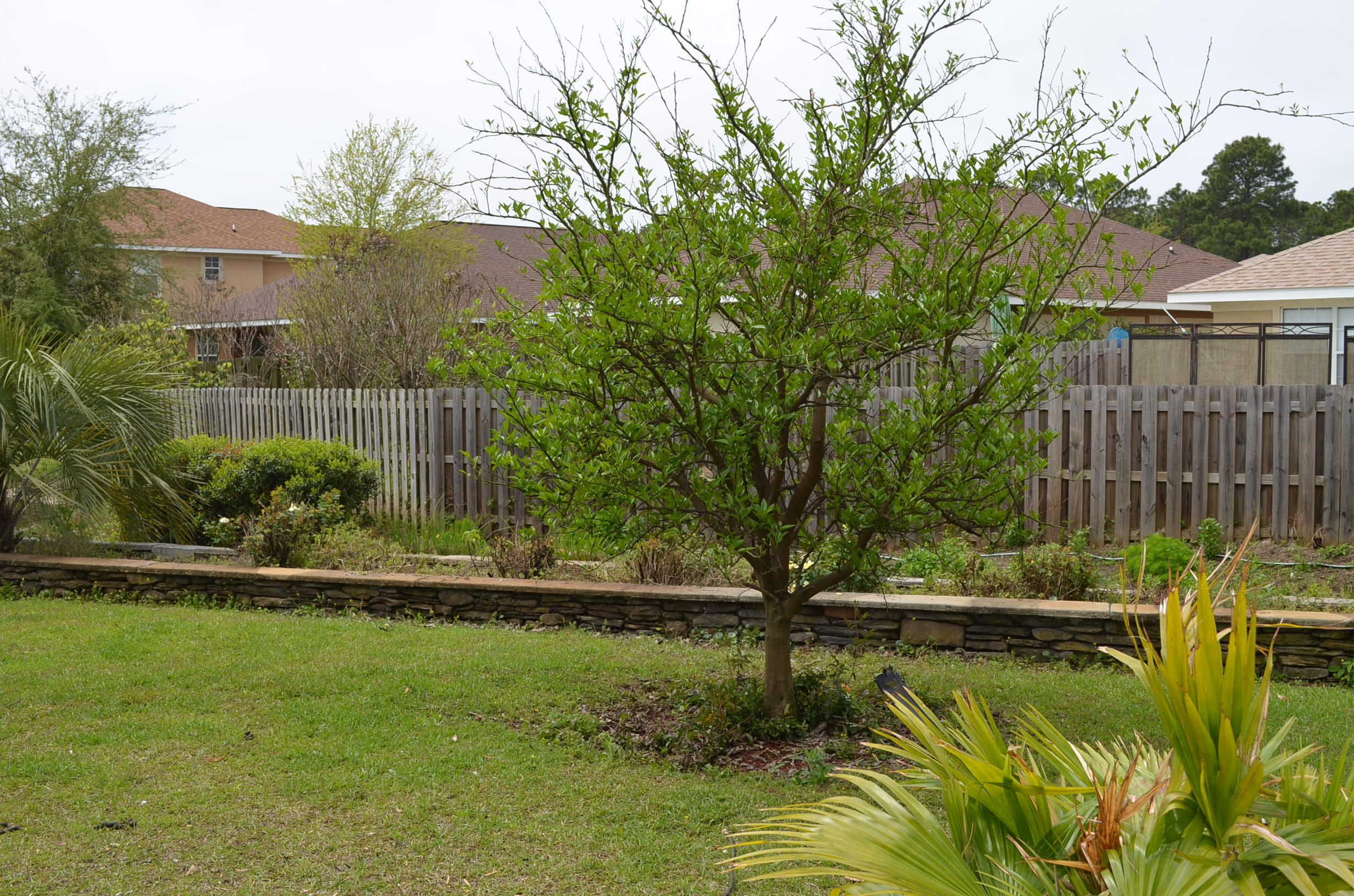 Driftwood Estates - Residential