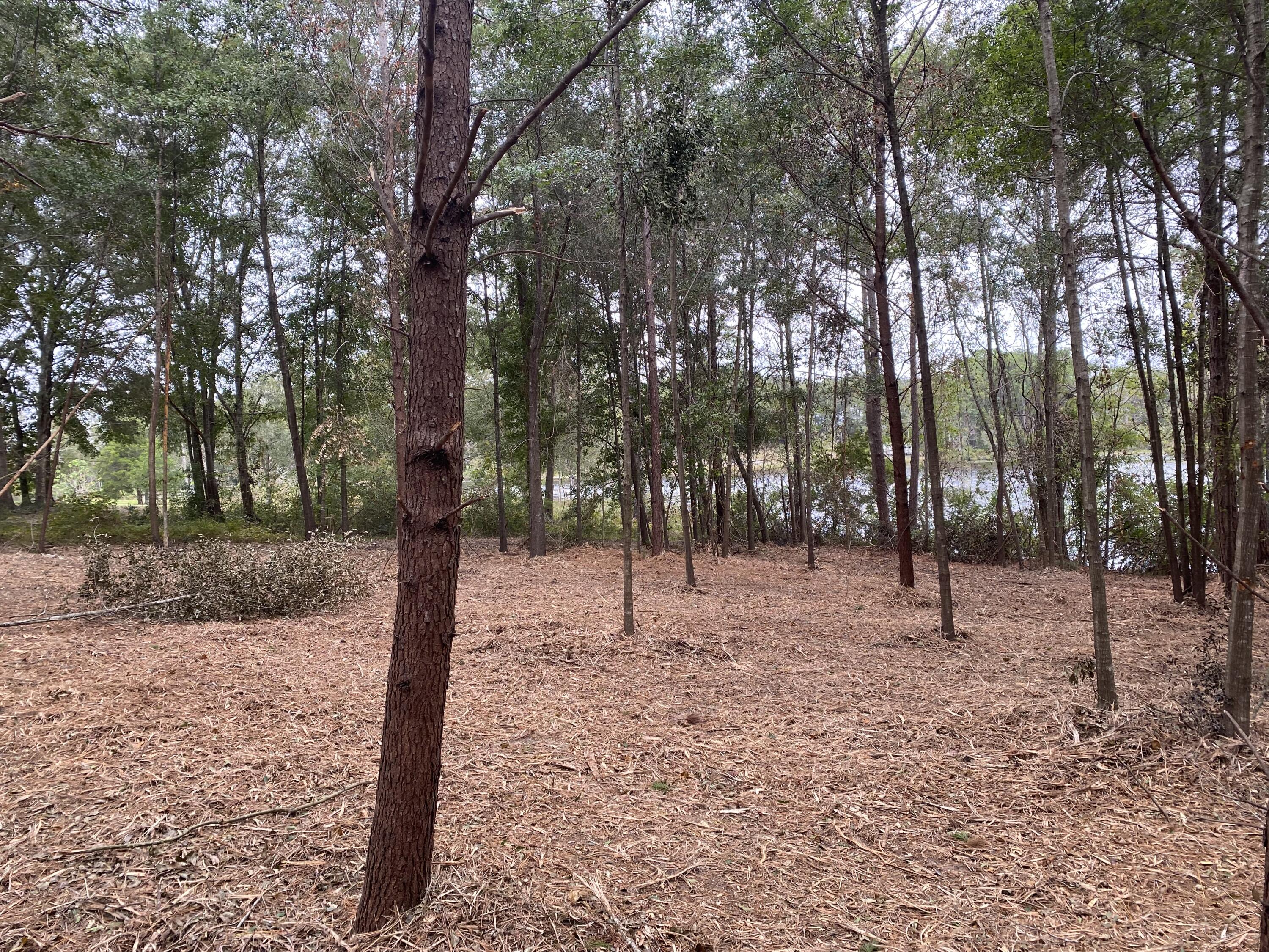 TEN LAKE ESTATES UNIT 2 - Land
