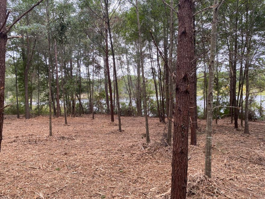 228 Waterfront feet on the largest lake at Ten Lake Estates. This is a rare find in this subdivision of large homes in North Walton County. This 1 acre lot is perfect for your new home. The water at this lot is some of the deepest in the entire lake and a favorite fishing spot for the owner. Lot has been chipped to allow for easy showing. City water, telephone, cable internet and electricity are available, but no tap fees have been paid. Septic will need to be installed for sewer.