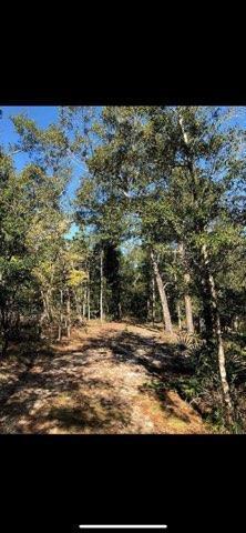 31 3 12 12.08 ORB 1237 P 416 LOT 32E HIGHVIEW ACRES EAST AS DESC IN ORB 1237 P 416 - Land