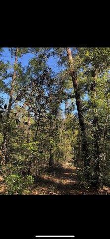 31 3 12 12.08 ORB 1237 P 416 LOT 32E HIGHVIEW ACRES EAST AS DESC IN ORB 1237 P 416 - Land