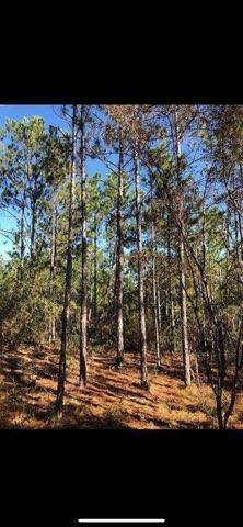 31 3 12 12.08 ORB 1237 P 416 LOT 32E HIGHVIEW ACRES EAST AS DESC IN ORB 1237 P 416 - Land