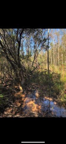 31 3 12 12.08 ORB 1237 P 416 LOT 32E HIGHVIEW ACRES EAST AS DESC IN ORB 1237 P 416 - Land