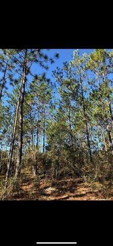 31 3 12 12.08 ORB 1237 P 416 LOT 32E HIGHVIEW ACRES EAST AS DESC IN ORB 1237 P 416 - Land