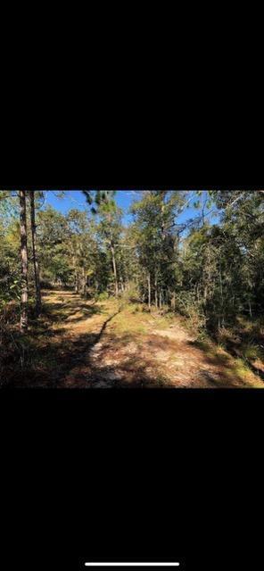 31 3 12 12.08 ORB 1237 P 416 LOT 32E HIGHVIEW ACRES EAST AS DESC IN ORB 1237 P 416 - Land