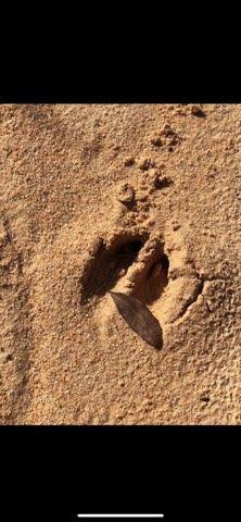 31 3 12 12.08 ORB 1237 P 416 LOT 32E HIGHVIEW ACRES EAST AS DESC IN ORB 1237 P 416 - Land