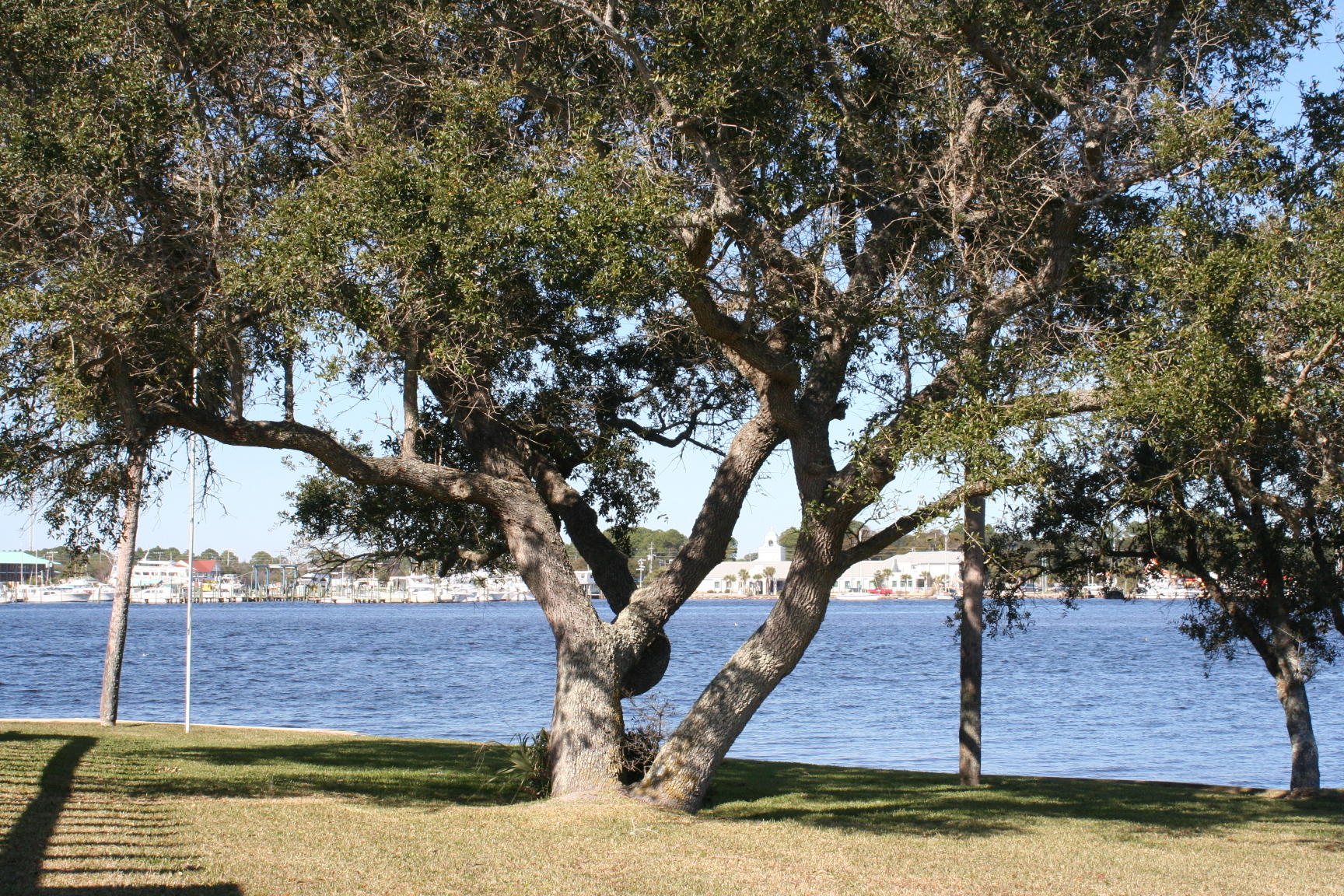 SANTA ROSA ISLAND - Residential