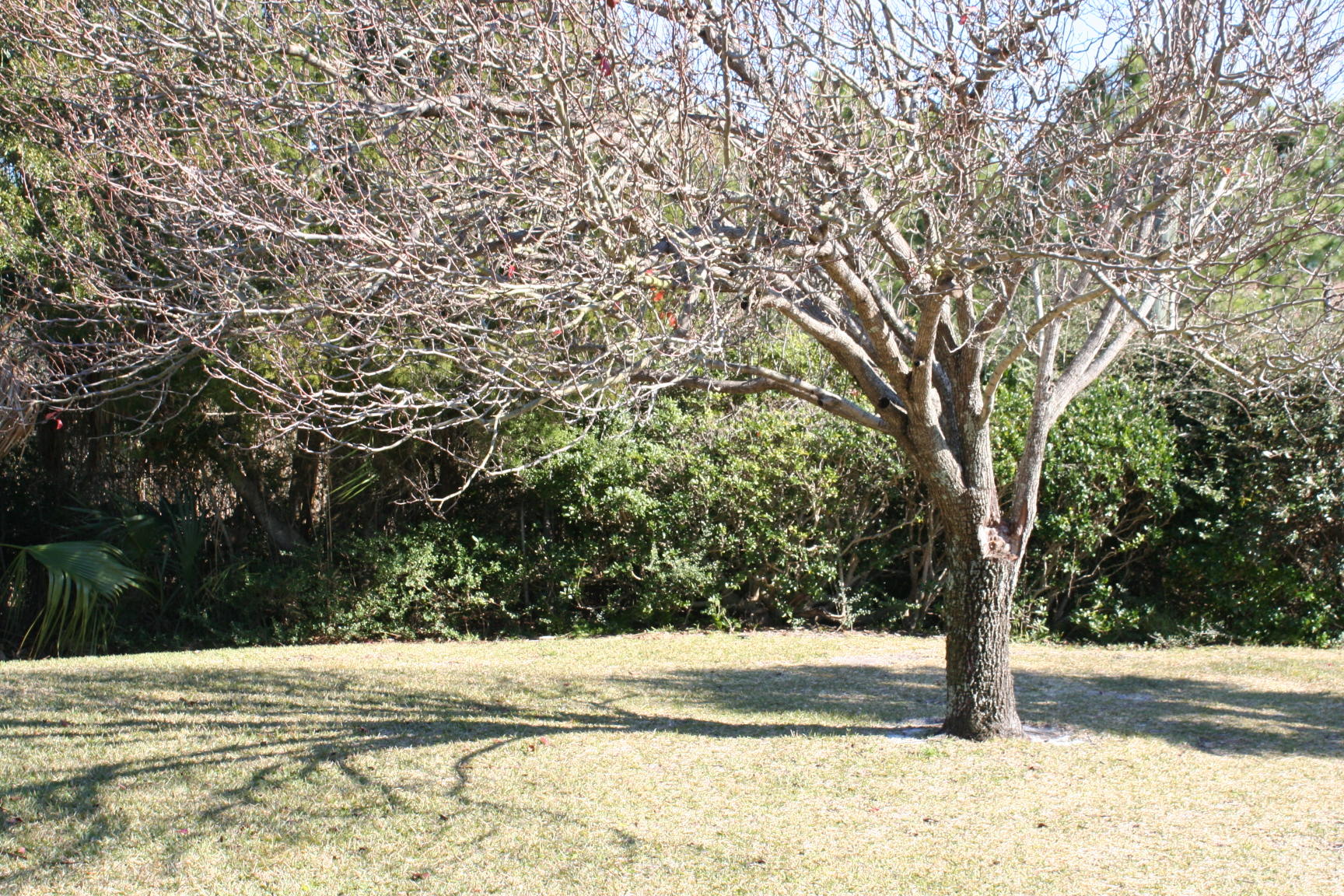 SANTA ROSA ISLAND - Residential