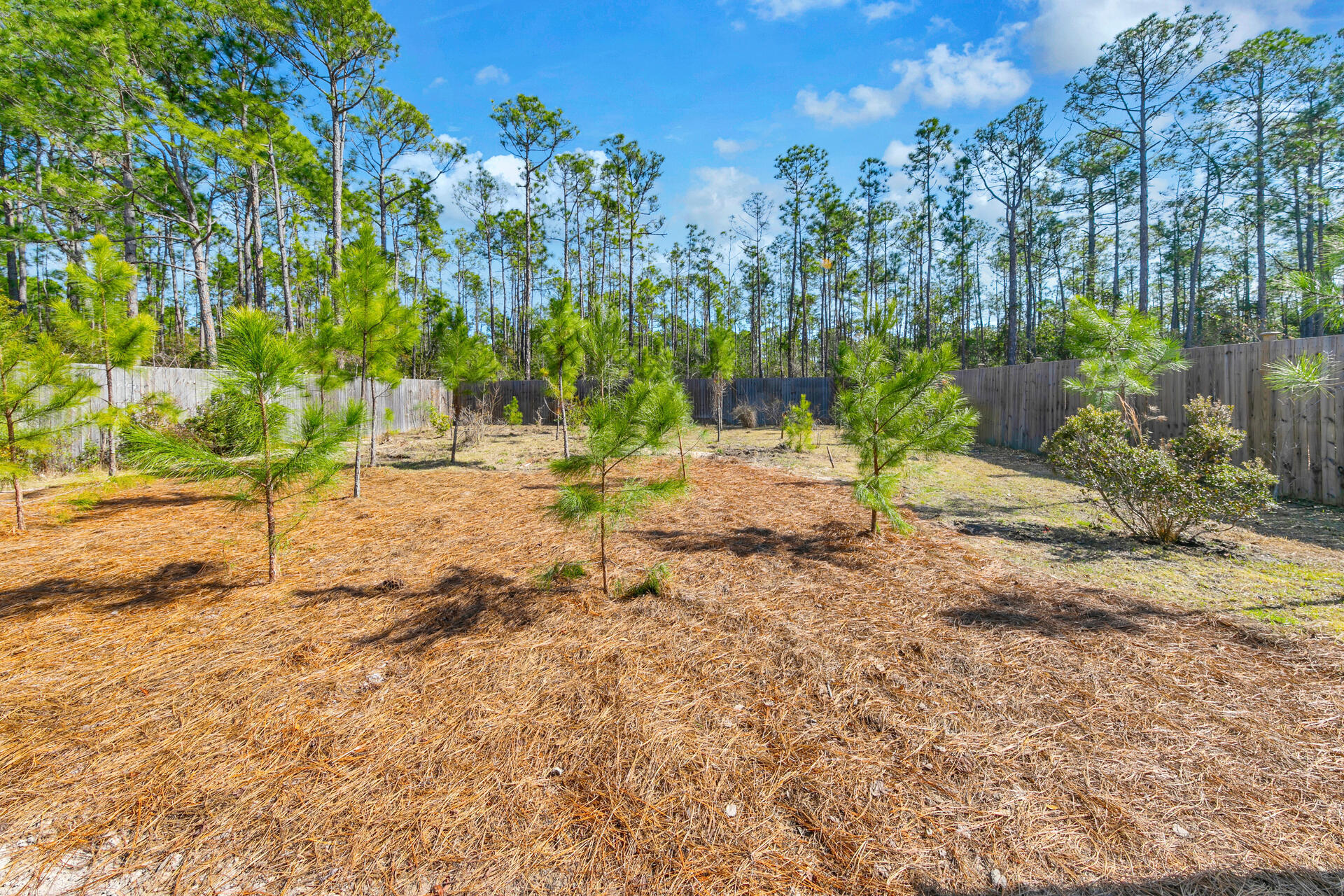 COM AT SE/C LOT 17 SANTA ROSA PLANTATION CO PB2-4 SAID POINT BEING ON R/W LINE OF CHAT HOLLEY RD - Residential