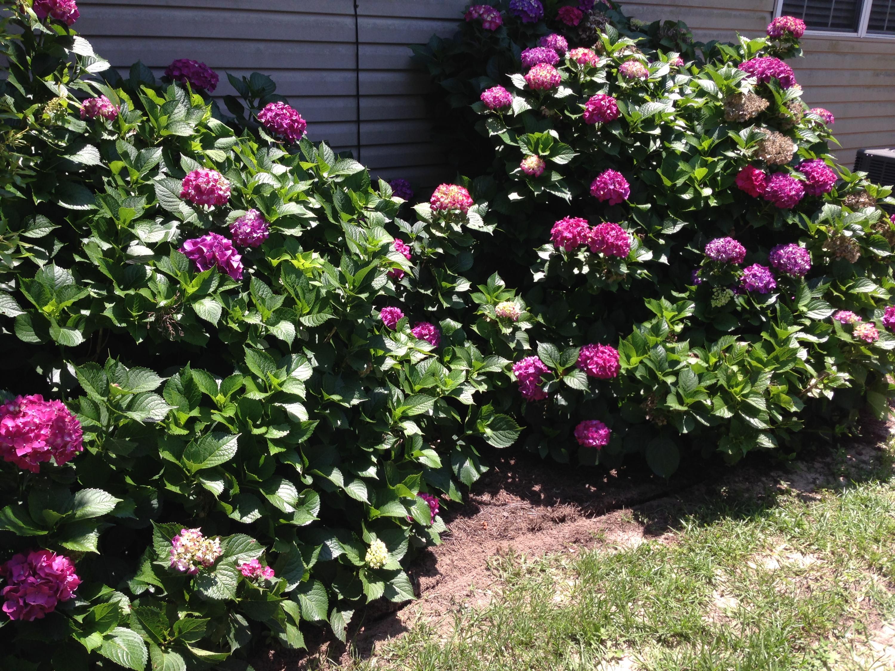 WHITE POINT VILLAGE S/D - Residential