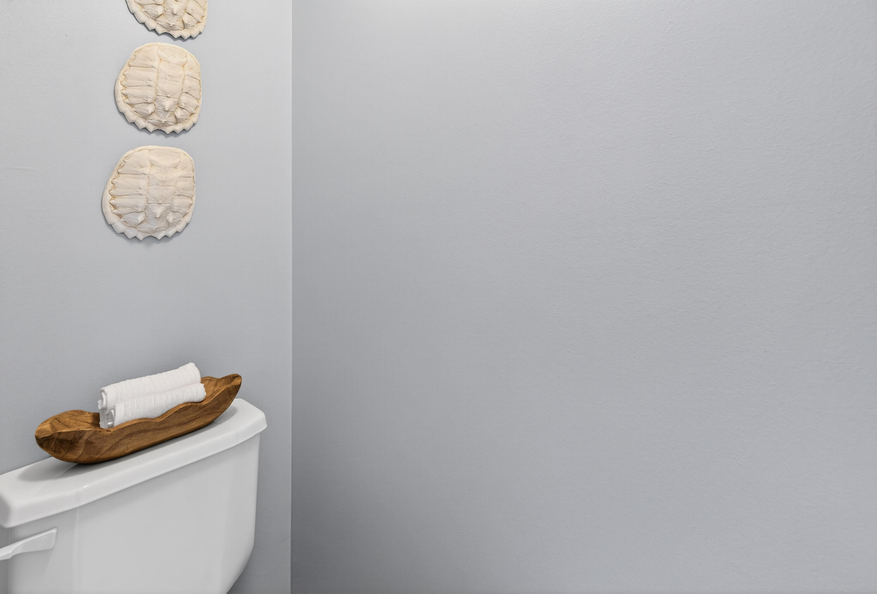 BRIDGEPORT COLONY - Residential