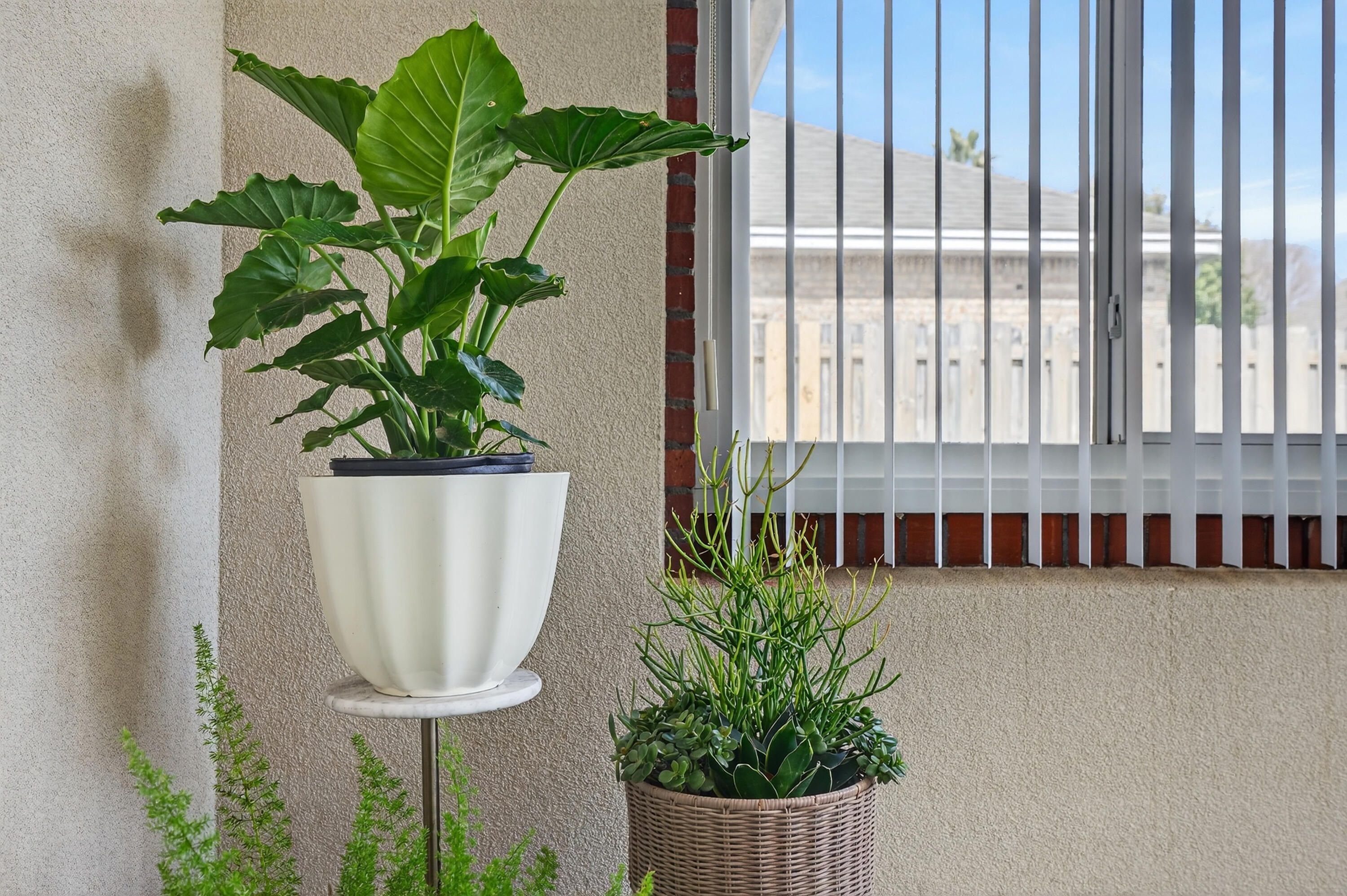 BRIDGEPORT COLONY - Residential