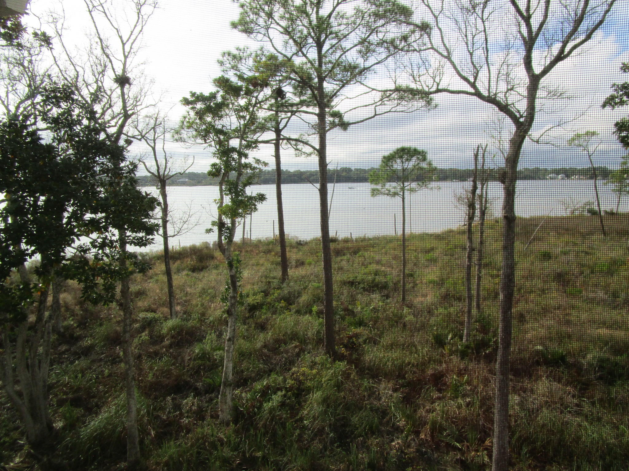 MARINA COVE VILLAGE PH 2 - Residential Lease