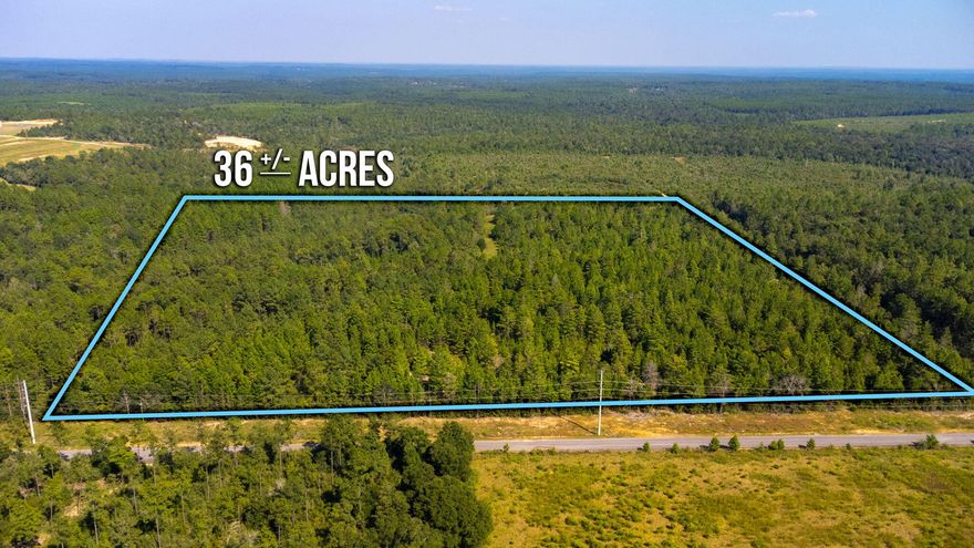 36 + Acres! Seller will consider OWNER financing. There is an existing Power Pole on the property and a well. 1268 ft +/- of road frontage on Old Landfill Road. Take a look at this phenomenal piece of property located off of State Highway 83, just north of Defuniak Springs. This large, wooded property offers an abundance of wildlife and privacy. Come build your dream home or use this as a weekend getaway spot to enjoy your favorite outdoor activities. No HOA! Mobile Homes and Horses are allowed. Electric is available at the road. Zoned General Agriculture..