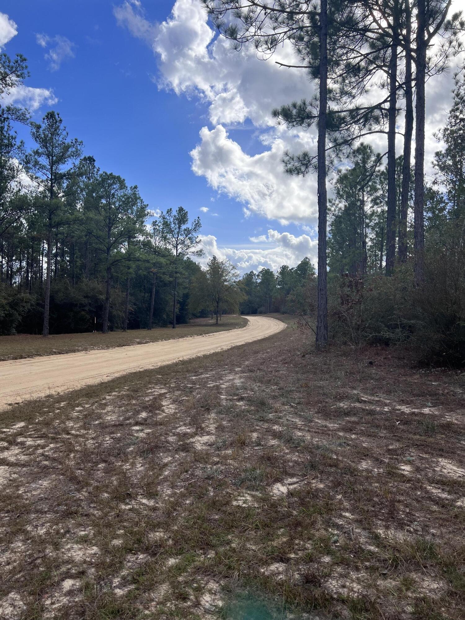 WALTON PLANTATION - Land