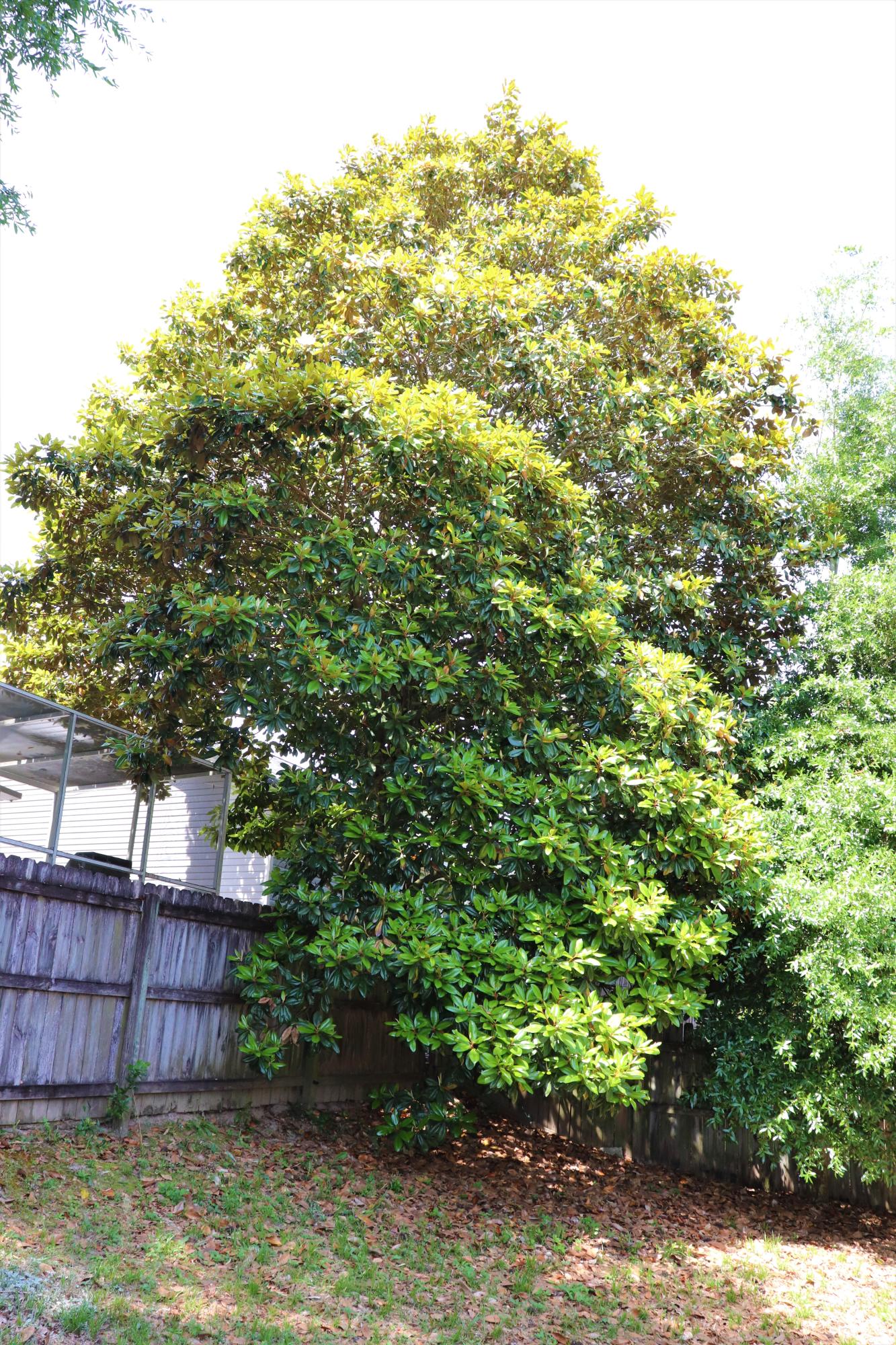 SOUTHWAY ESTATES - Residential