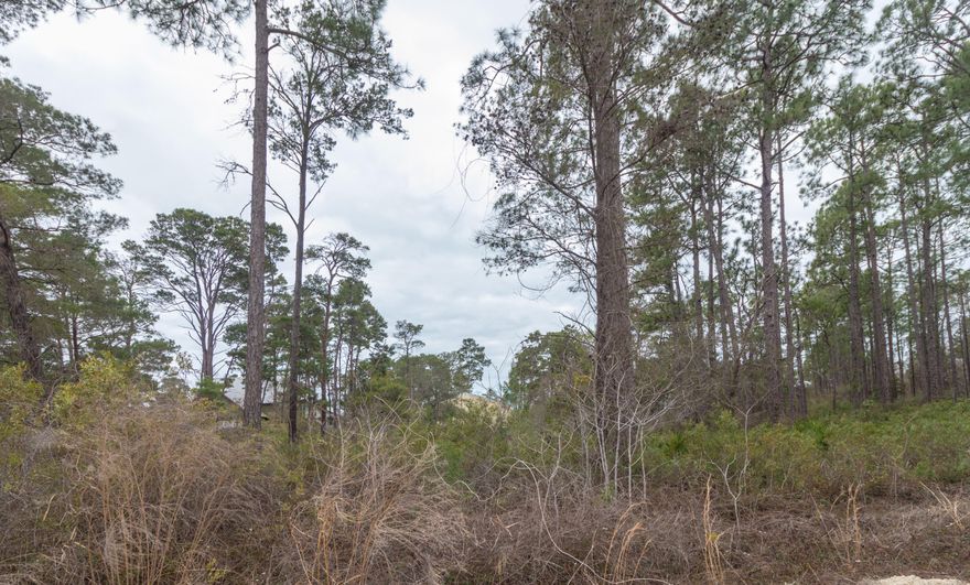 Great lot just off CR 30A in Blue Mtn Beach and convenient to restaurants and shops in the heart of South Walton. A great location to build your dream beach house.