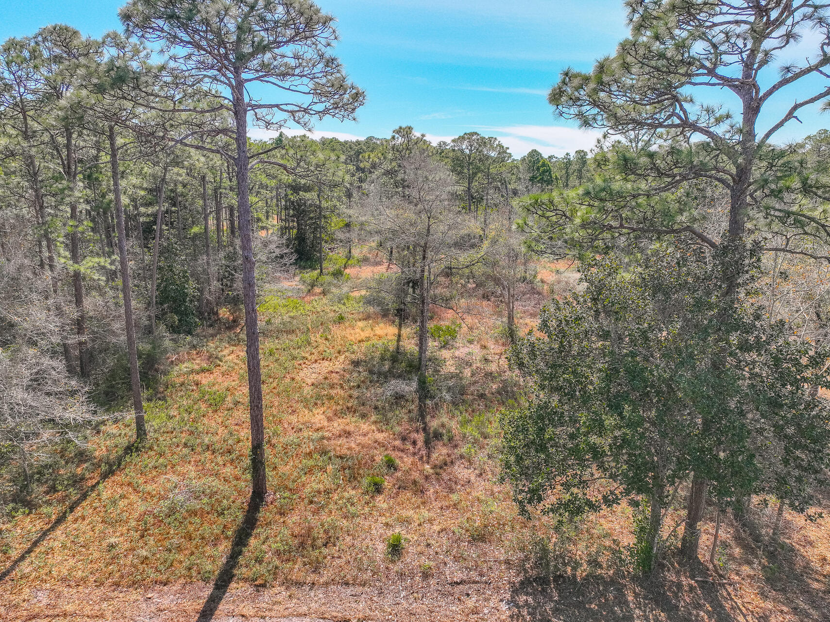 Santa Rosa Plantation - Land