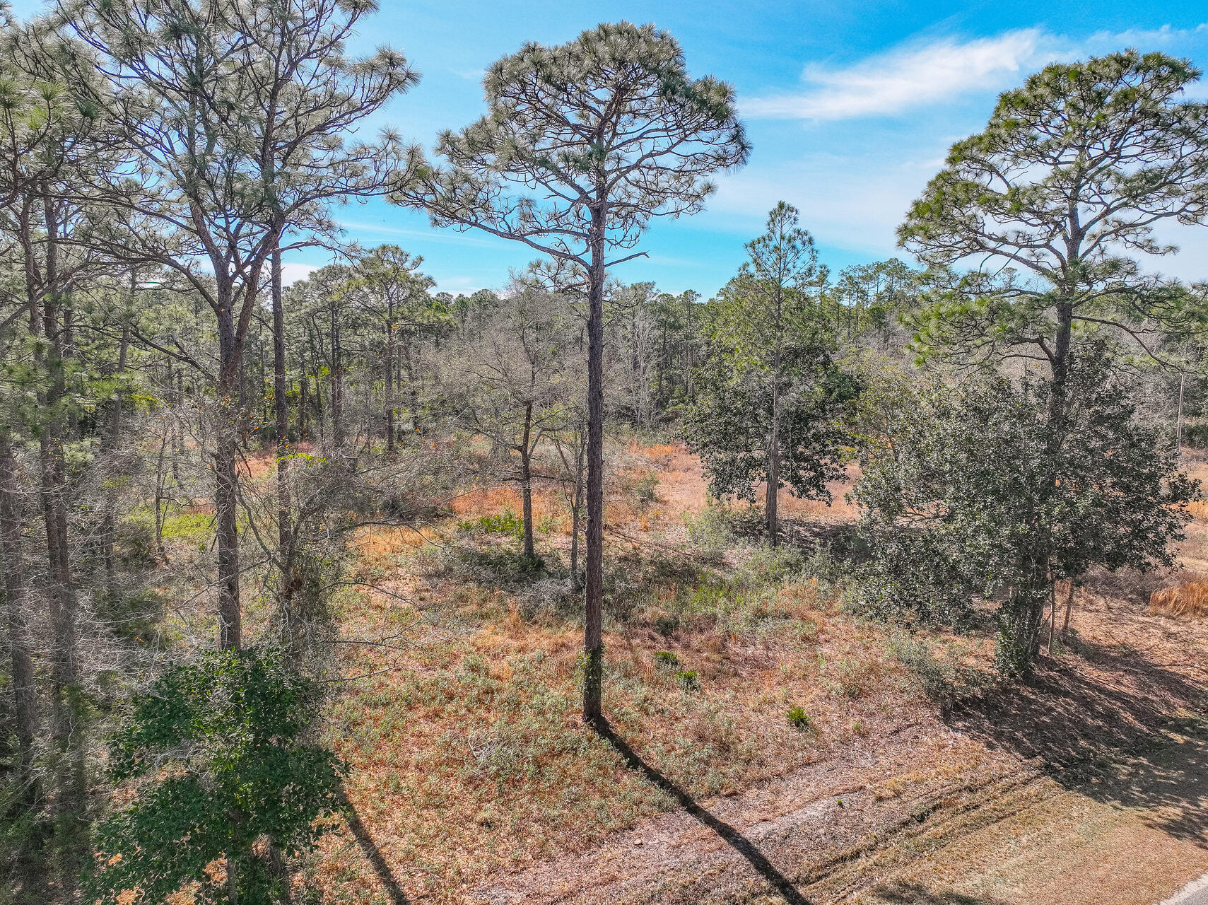 Santa Rosa Plantation - Land