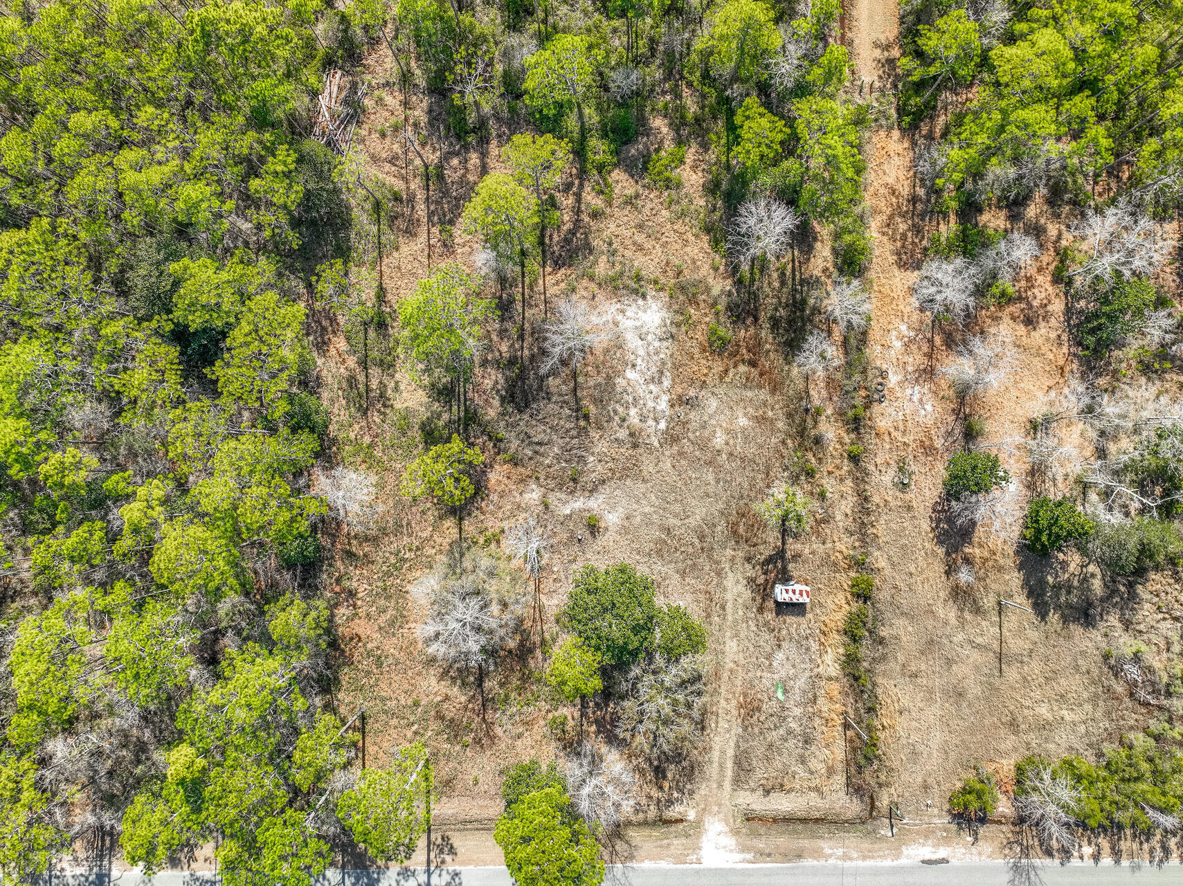 Santa Rosa Plantation - Land