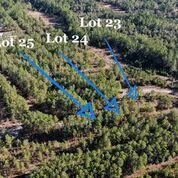 Great wooded flat lot at a very affordable price. No HOA. Electric (under ground) is available in the development. Well water and septic will be required to build. Walton county has conformance requirements for both. Assembled parcels conform to county standards on advice of county for drinking water well and septic. Buyer will need to verify all statements.
