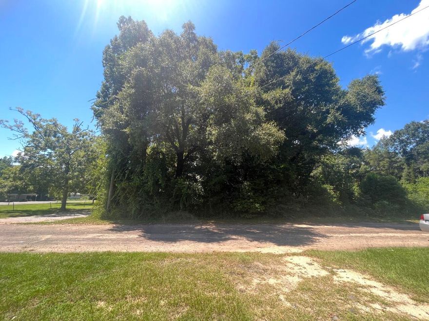 This conveniently located lot is 3 blocks from Main Street and 4 blocks from HWY 85.
Zoned Multi-Use. Come see it today!