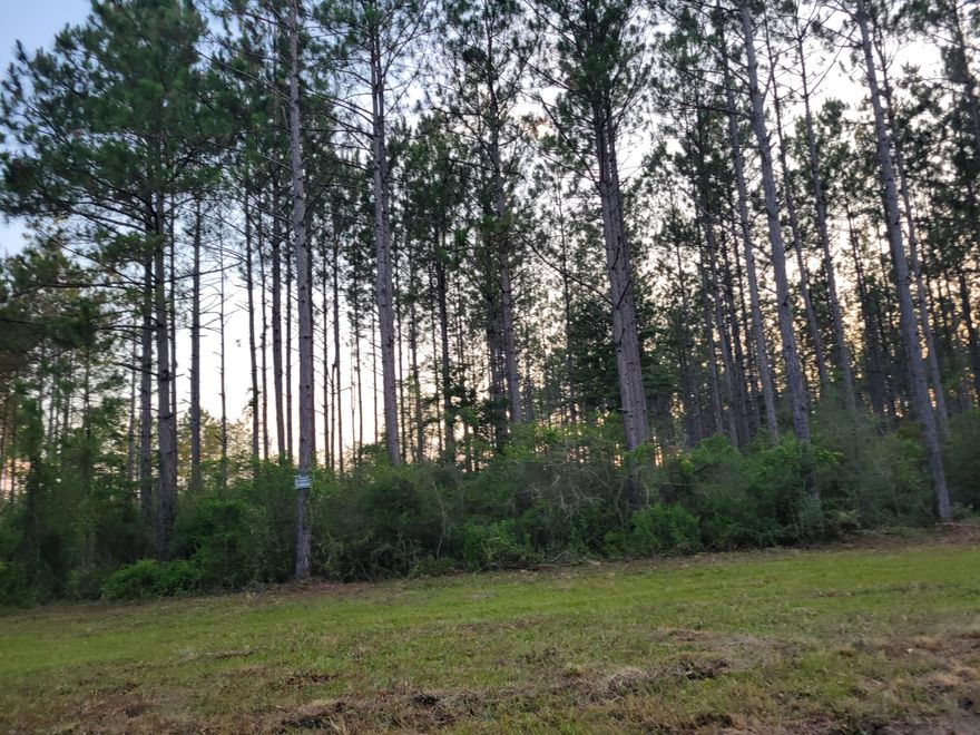 10 acres in the north end of Walton County on a paved road.  Planted pine of appx. 10+ years.  Mobile homes welcomed.  Paxton Schools within 7 miles.  The City of Florala appx. 10 miles north with Lake Jackson a recreational lake with skiing and fishing. Restrictions, survey and Seller's Disclosure listed under Document tab above.
