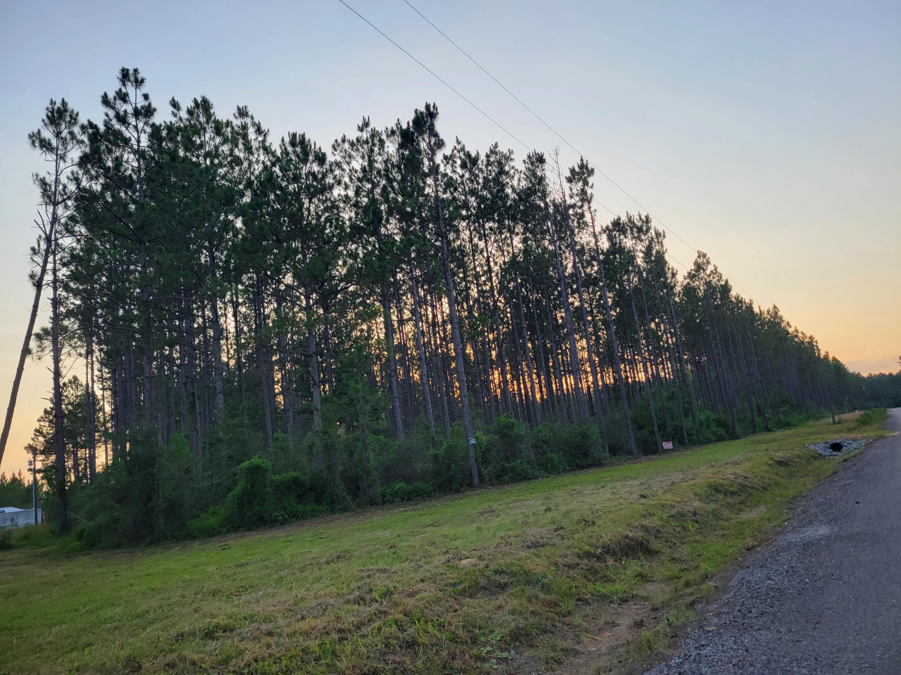 METES & BOUNDS - Land