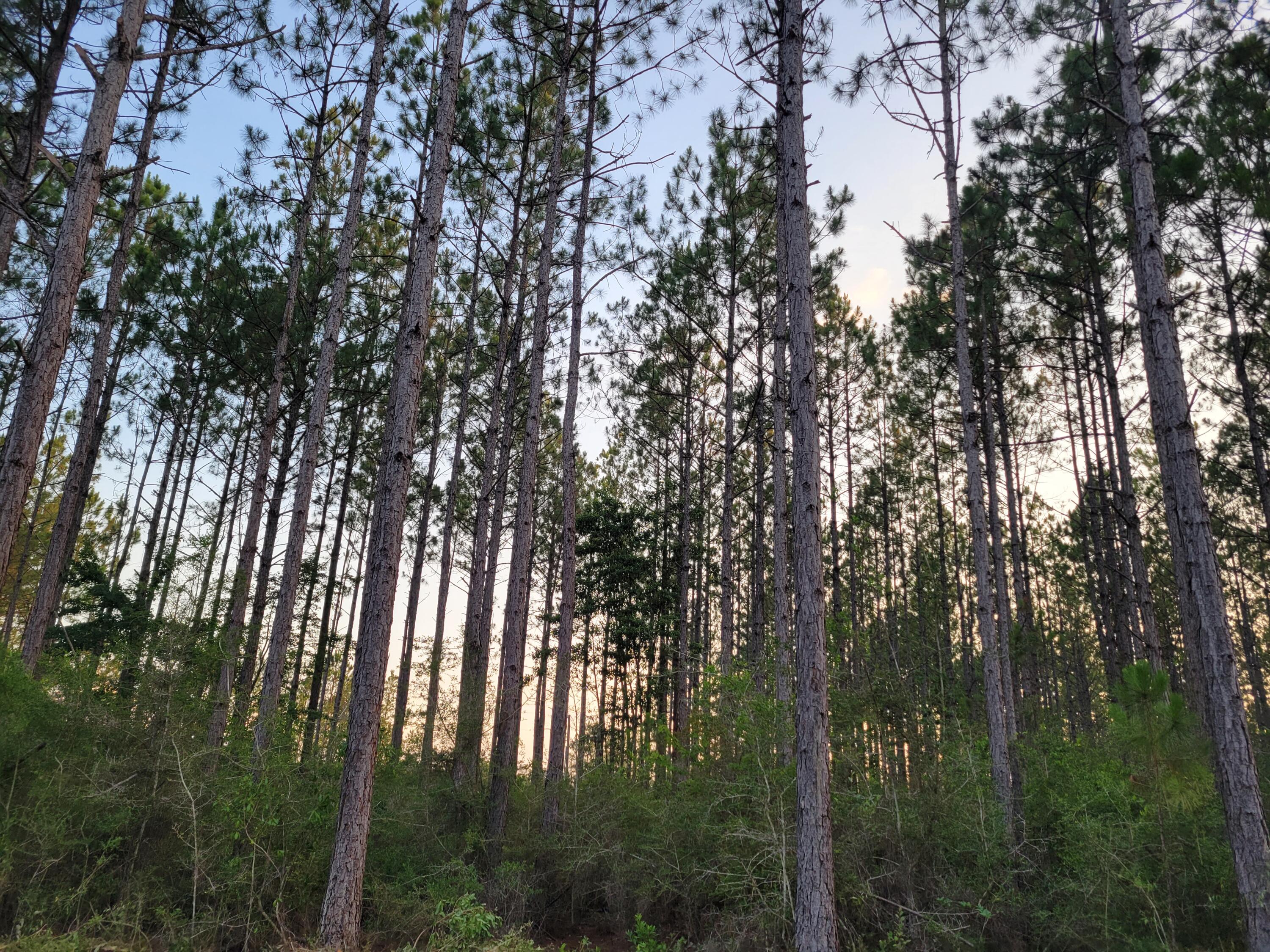 METES & BOUNDS - Land