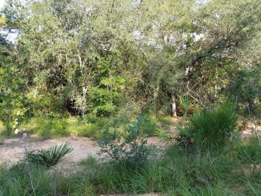 Come see this beautiful 2.38 acre wooded lot! The road is maintained by the HOA and buyers should ensure due diligence in regards to the HOA.