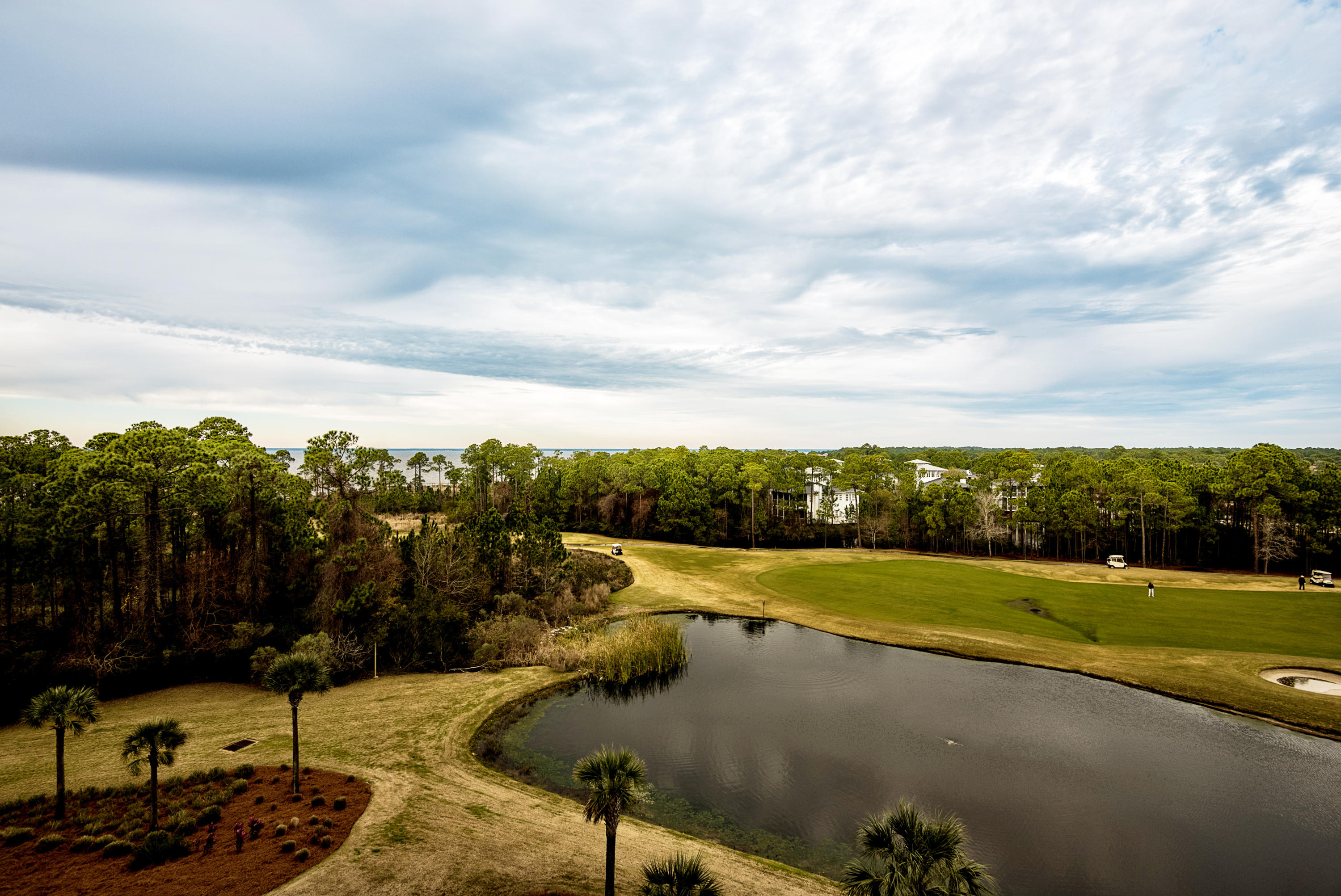 ELATION - Residential