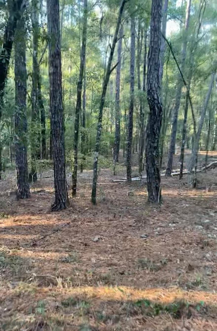 Looking for the Perfect hunting spot? A Place in the country for your new home? Look no further! This gorgeous property is the perfect location for your needs. Close to town and schools, but far enough away from the noise and crowds. Call me today for your showing!