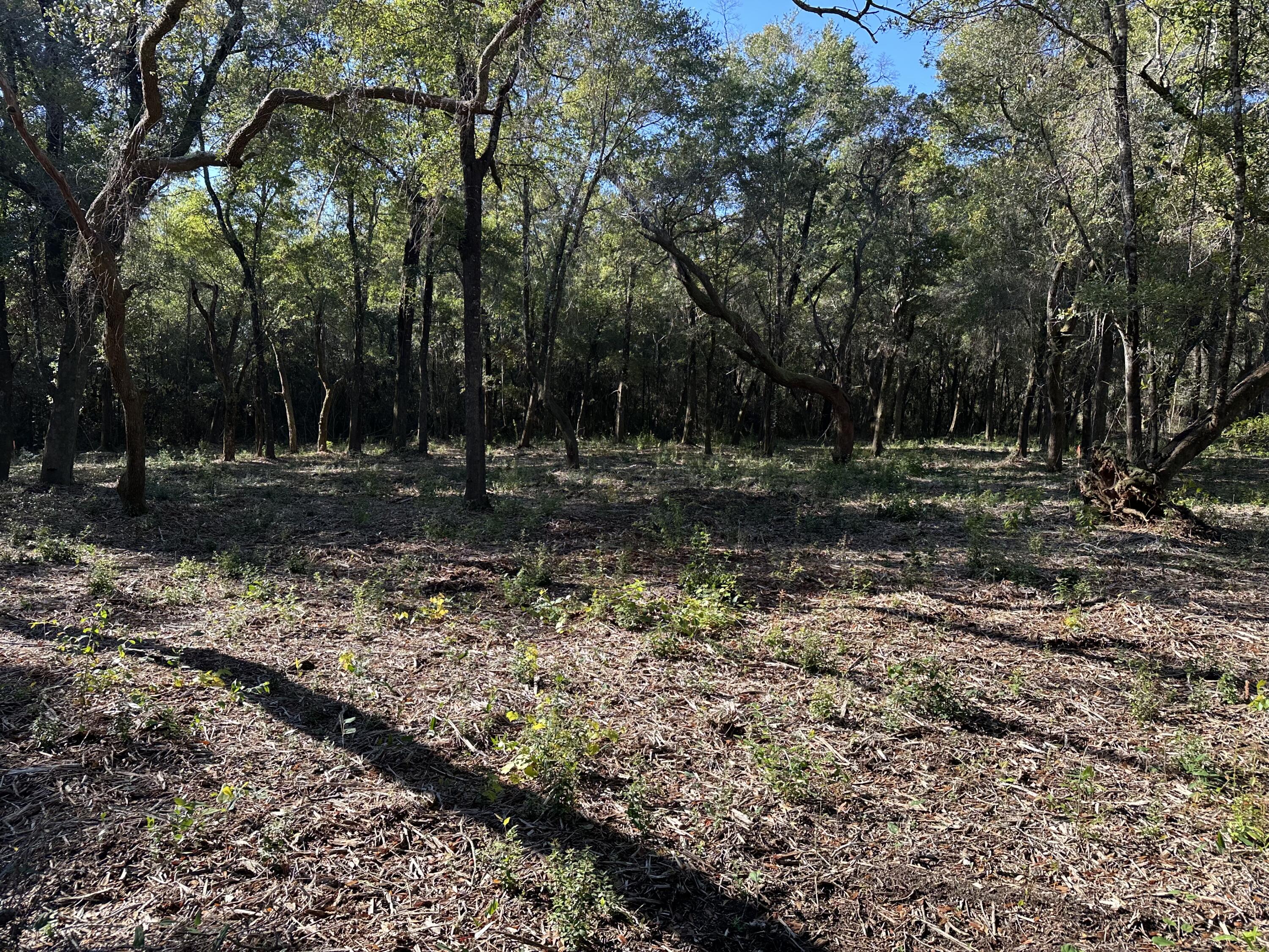 07-1N-27-0000-01202-0000 - Land