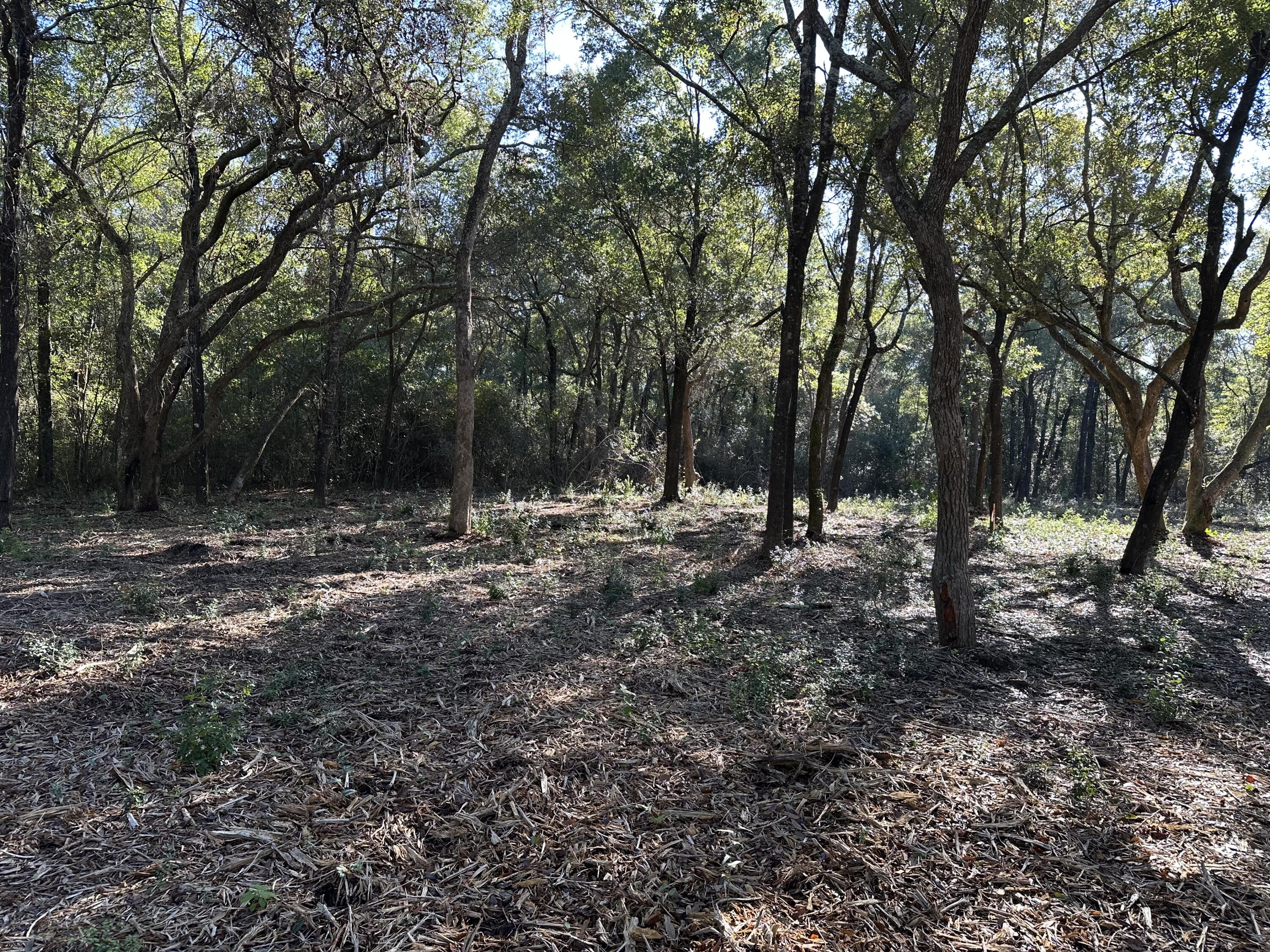 07-1N-27-0000-01202-0000 - Land