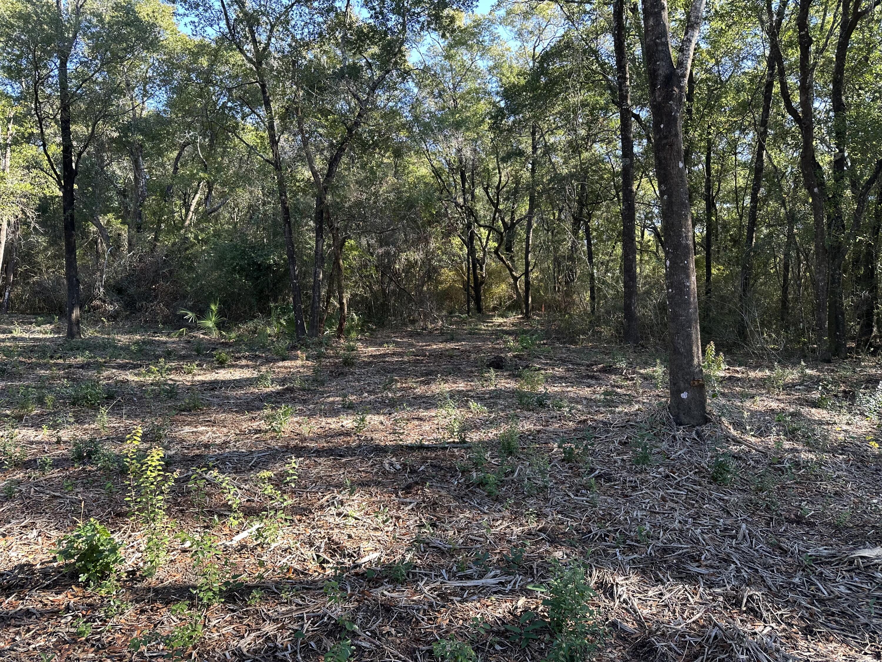 07-1N-27-0000-01202-0000 - Land