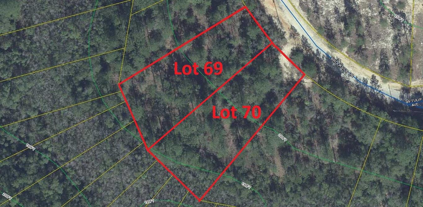 Two adjoining lots at apx. 1/2 ac each in growing Mossy Head area of Defuniak Springs. Lightly wooded, Great location to build. Manufactured homes allowed. Within 15 minutes to I-10 off Hwy 285 for quick commute to Crestview, Niceville, Ft. Walton Beach & Eglin AFB. Survey recommended to verify lot dimensions and acreage. Public water is available through Mossy Head Water Works (tap fee would need to be paid). Power runs down this street; Septic tank would be required.