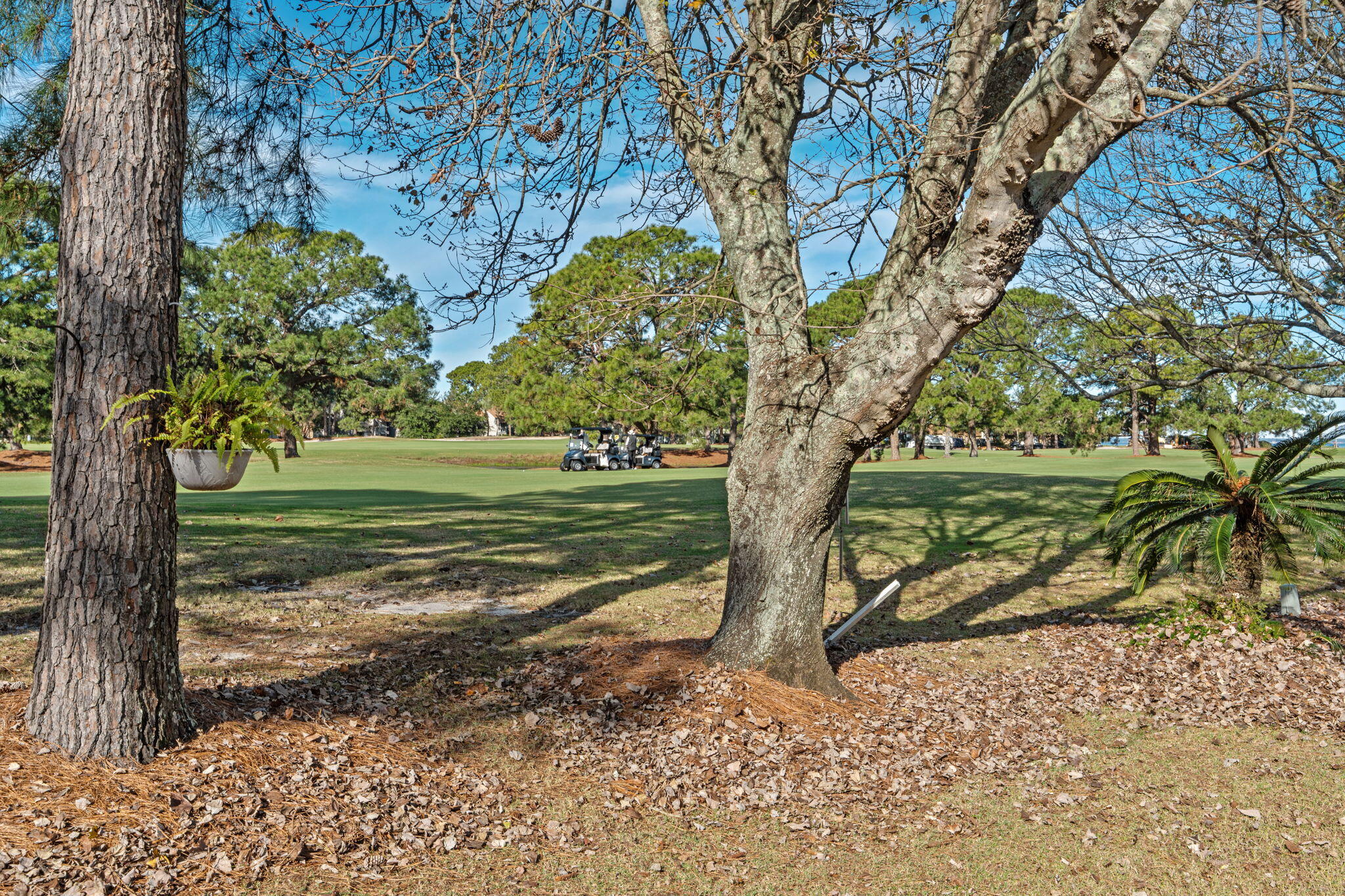 LINKSIDE VILLAGE UNIT 1 - Residential