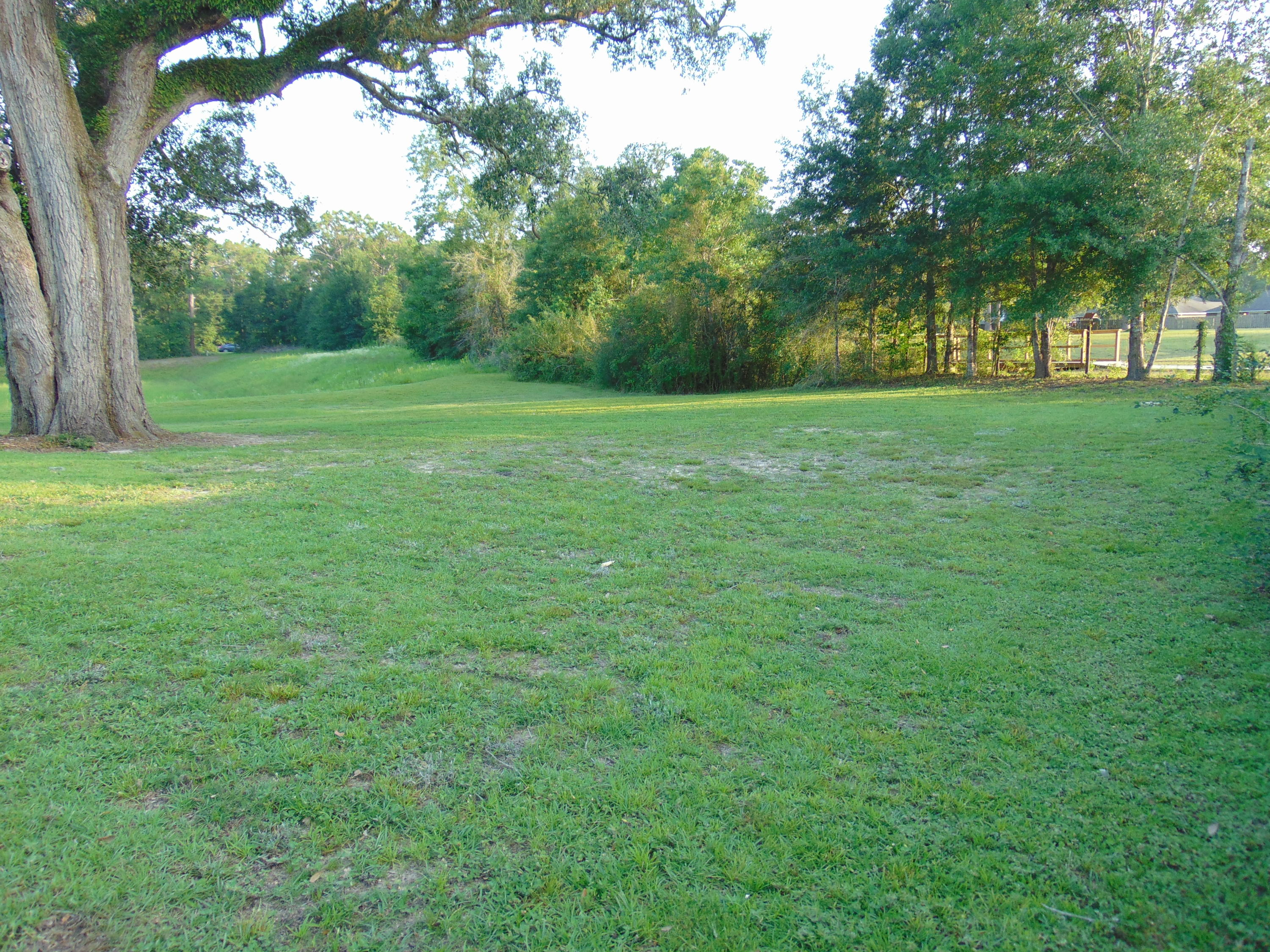 LEE FARMS PH I - Residential