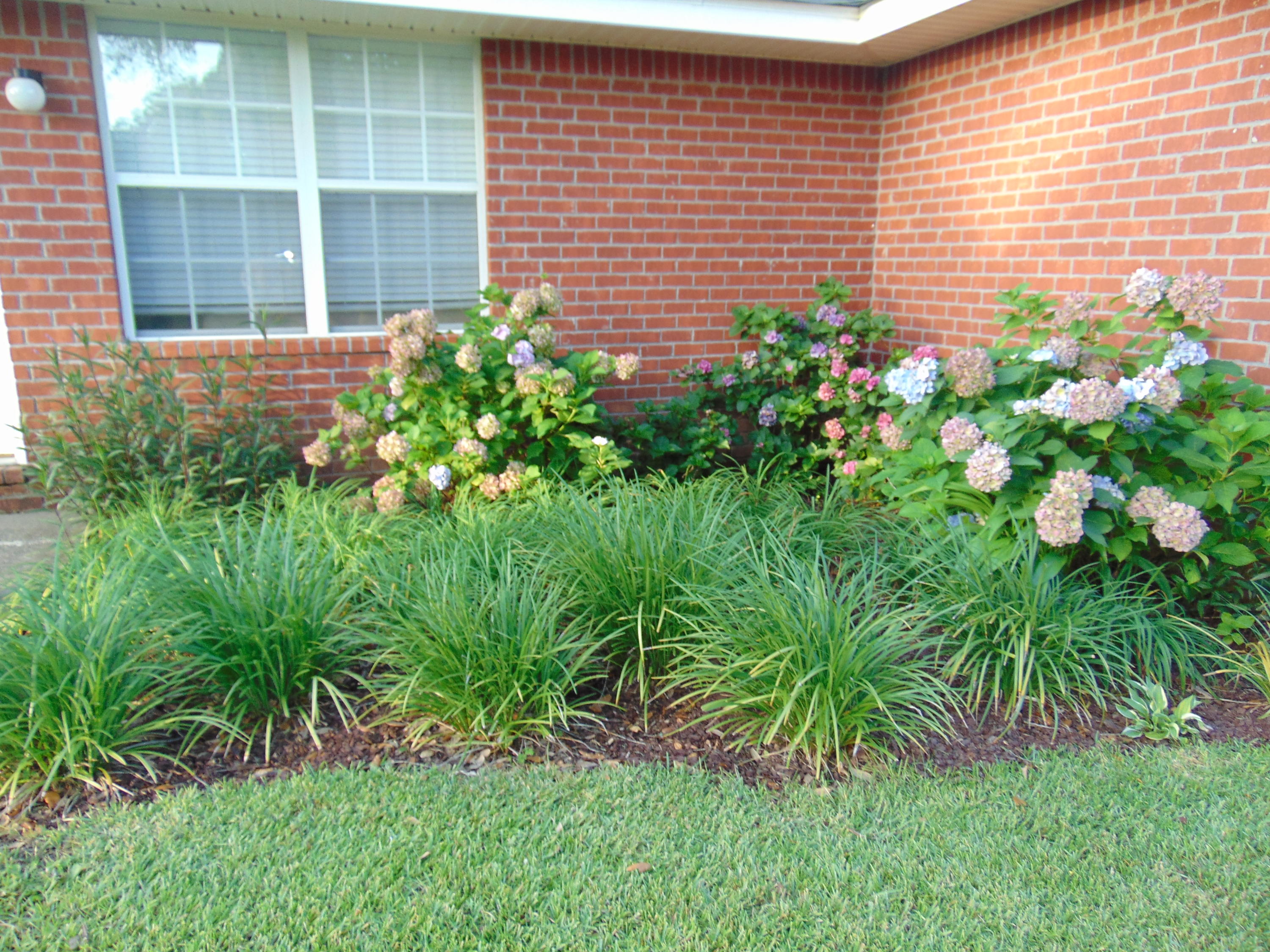 LEE FARMS PH I - Residential