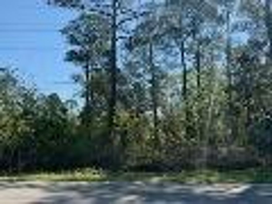 Walking distance to the public boat launch & just 4 miles to the beach! This affordable, wooded corner lot is just 3 blocks from Cessna Landing park & public boat launch, so you can jump in your boat and quickly be on the Bay. The gorgeous beach, and Gulf Place 30A, with all its amazing events & restaurants is just 4 miles down the street. With NO HOA fees, and NO build out time, start living the boating & resort lifestyle you've always dreamed of. The adjacent lot is also available and both lots can be purchased for $75,000.